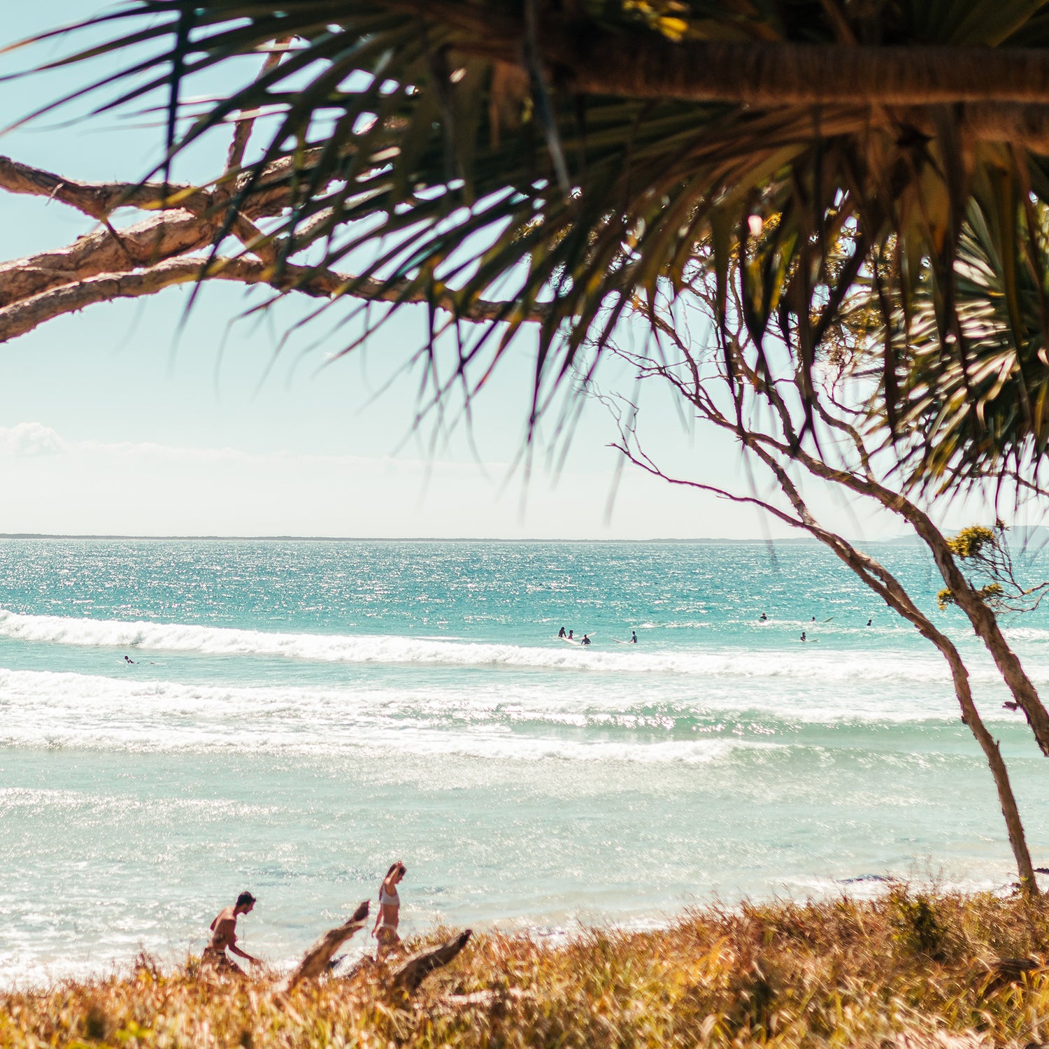 Noosa Tea Tree Bay Surf Paradise